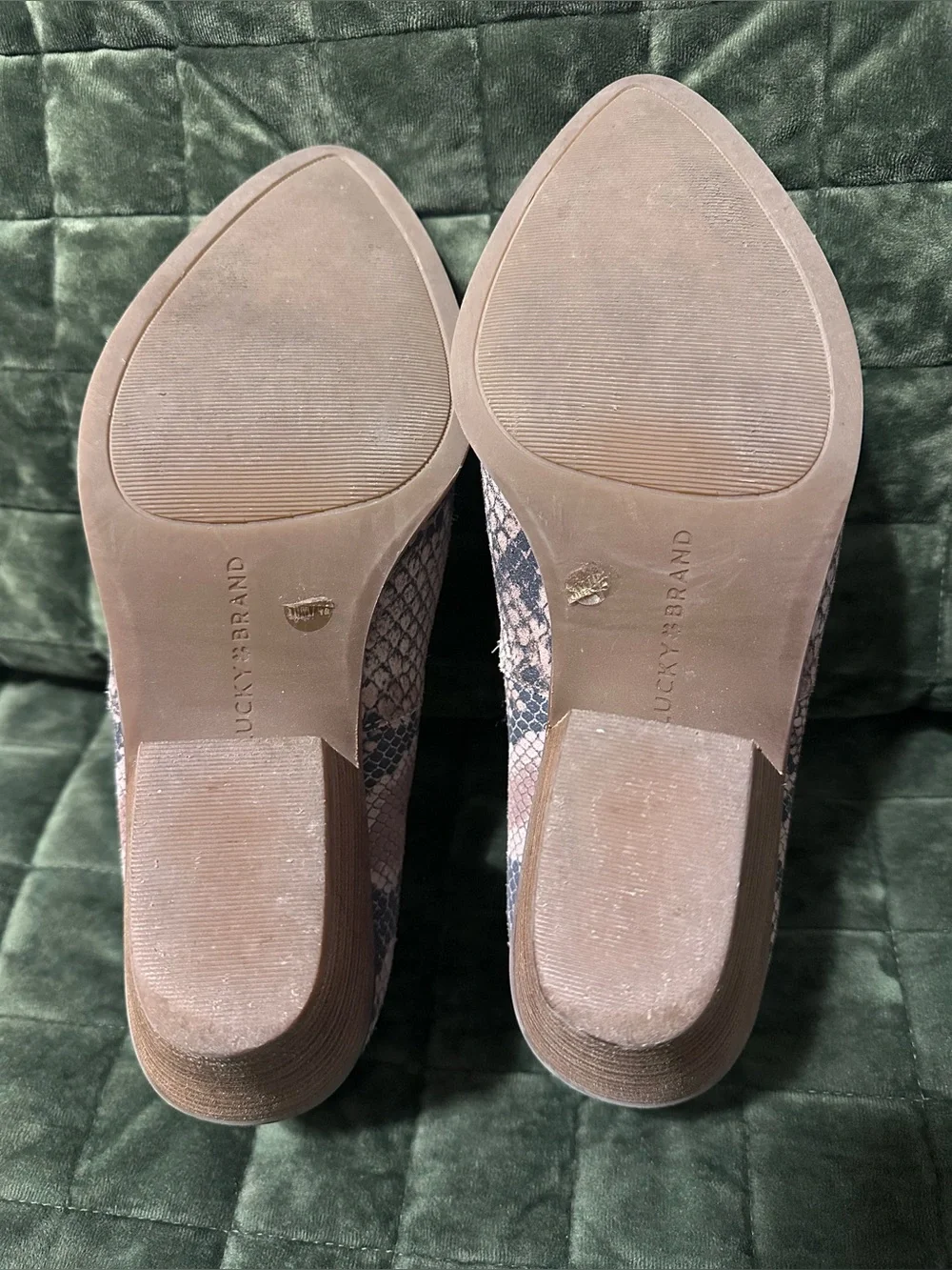 Lucky Brand Pointed Snake-Print Ankle Booties in Taupe and Black